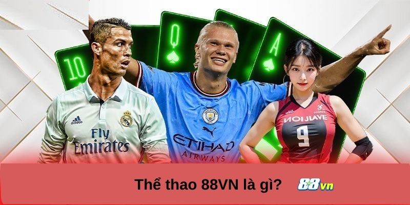 Điểm qua cá cược thể thao 88vn là gì?